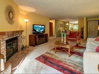 Wood burning fireplace